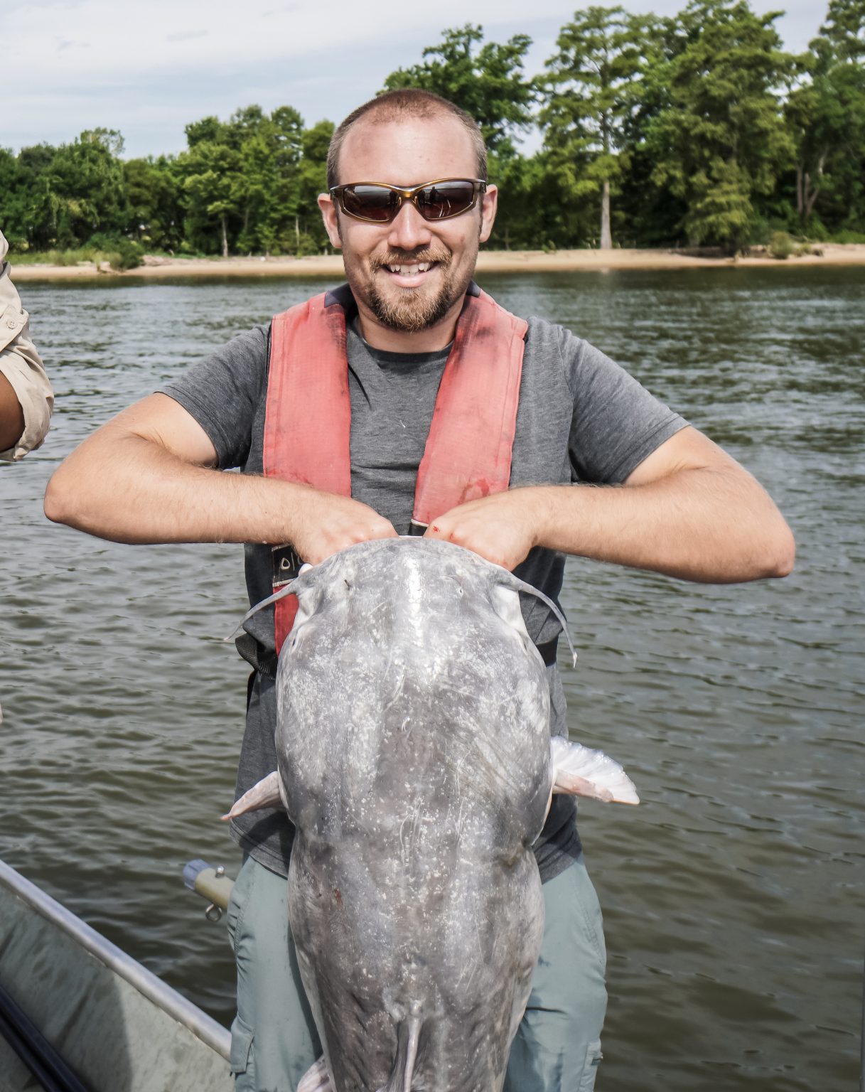 New research gives the dish on blue catfish eating habits